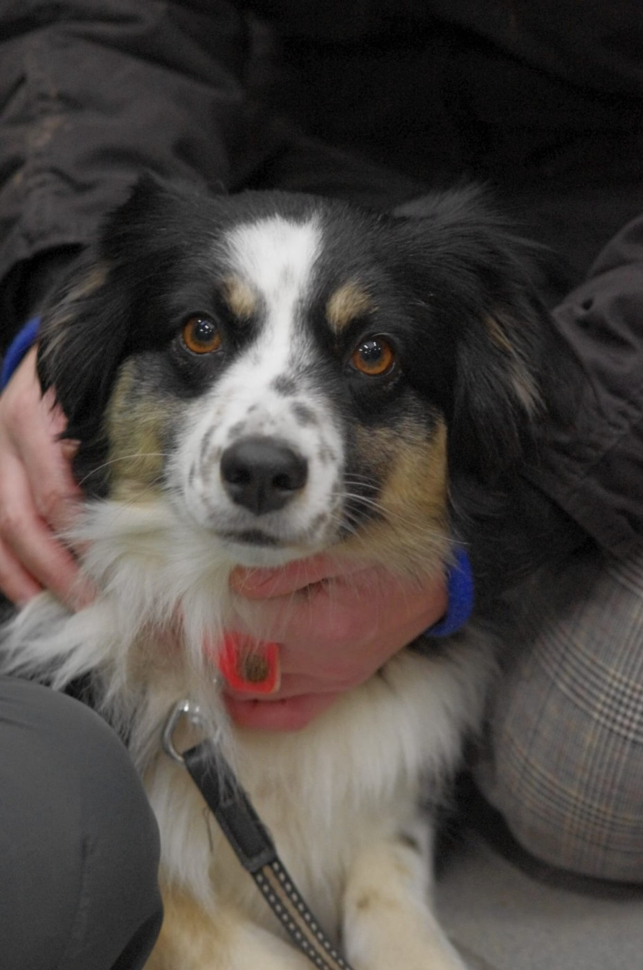 Utopie de l'Angelarde